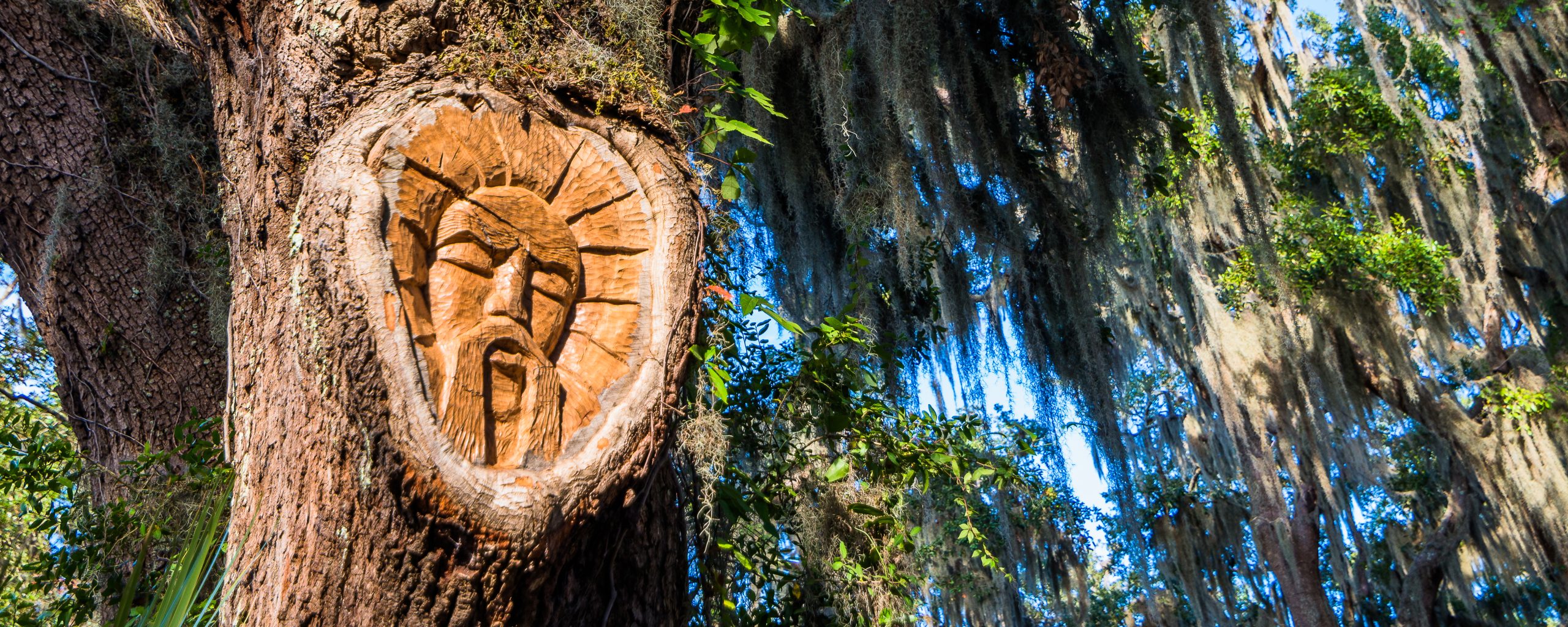 Discover the whispers of the islands' past through the enchanting Tree Spirit sculptures.