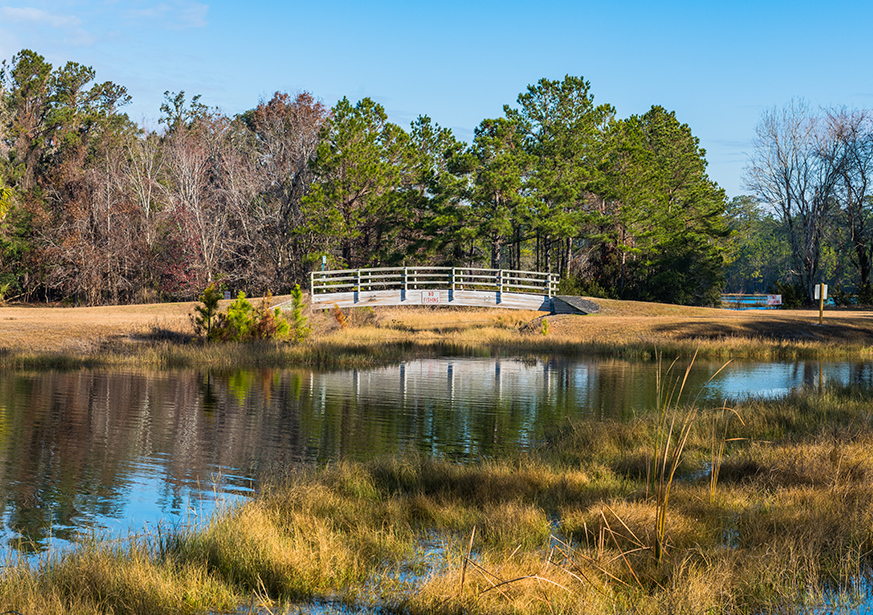 A Day Out: Discover the Delights of Blythe Island Regional Park