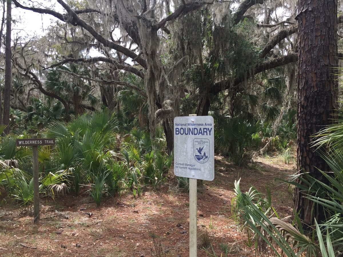 Free Naturalist 101 Lecture: Explore Blackbeard Island's Ecological Wonders